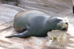 気持ちいいなぁ