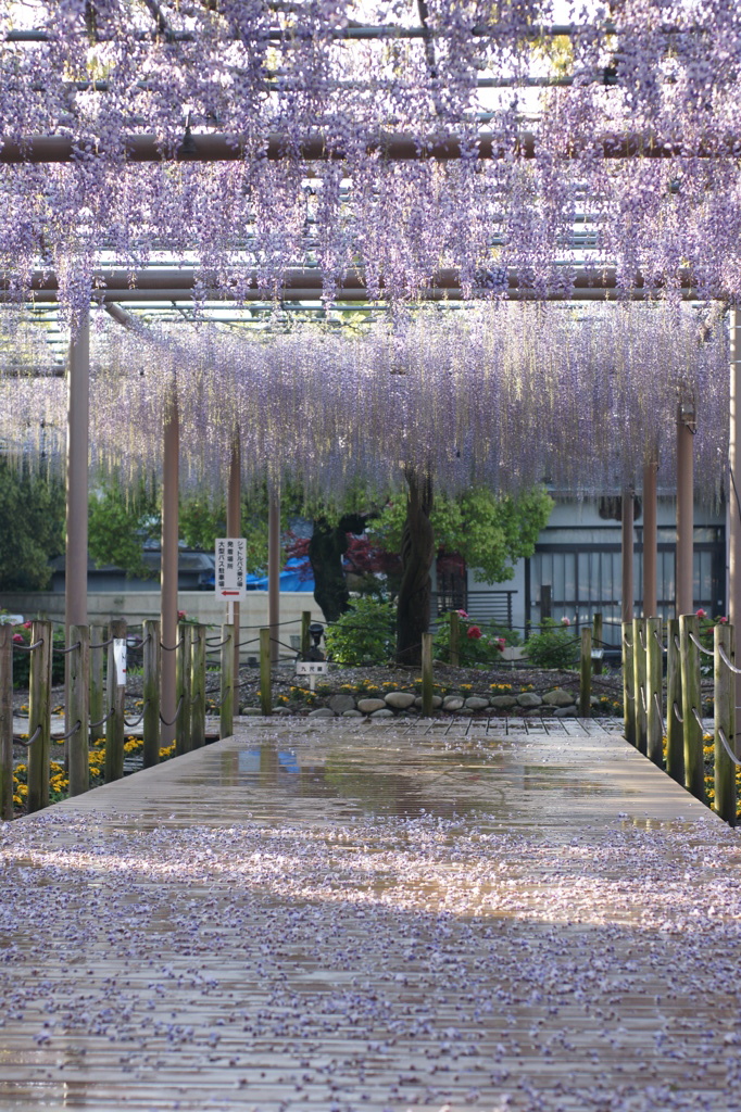 DSC00030