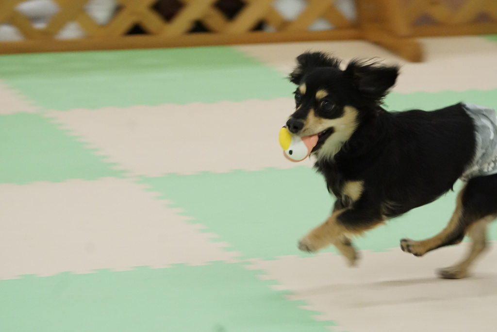忙しいナー