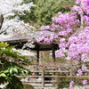 DSC0002
