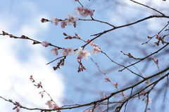 青空の下