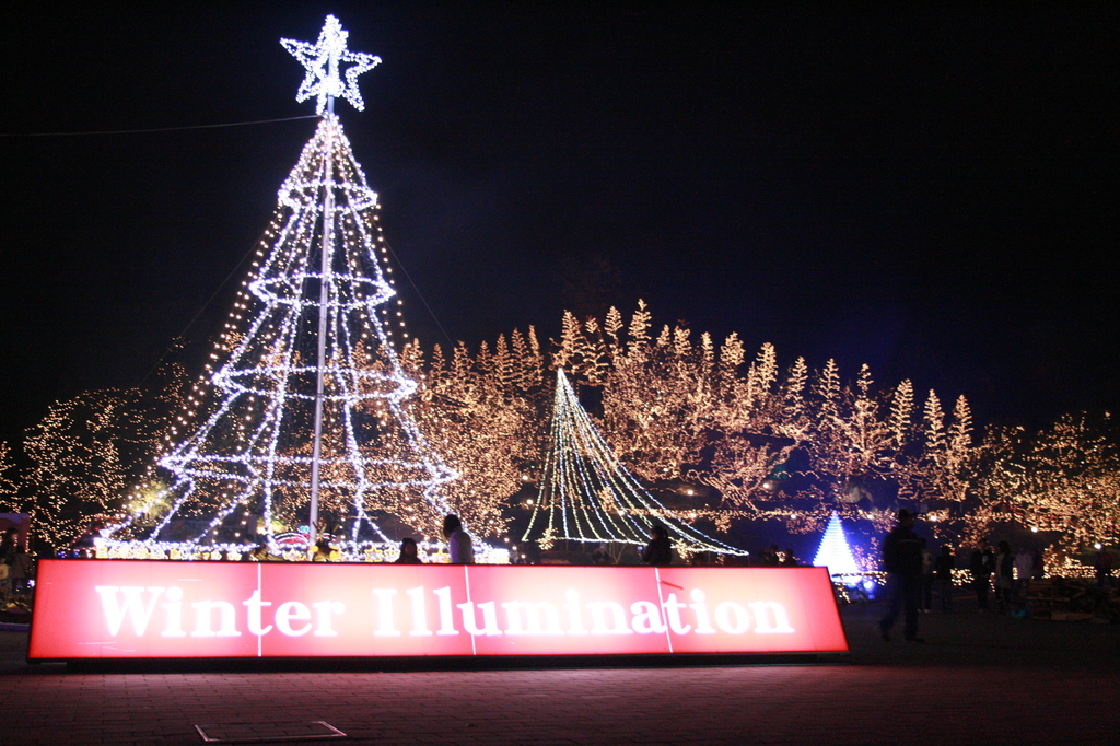 Winter Illuminations