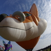 フォックス！