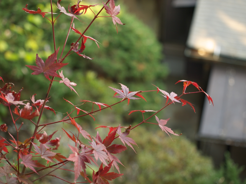 高尾山薬王院