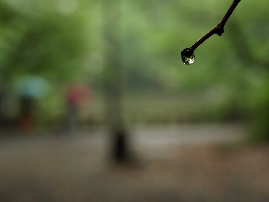 雨上がり