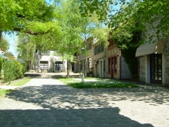 DSCF3607
