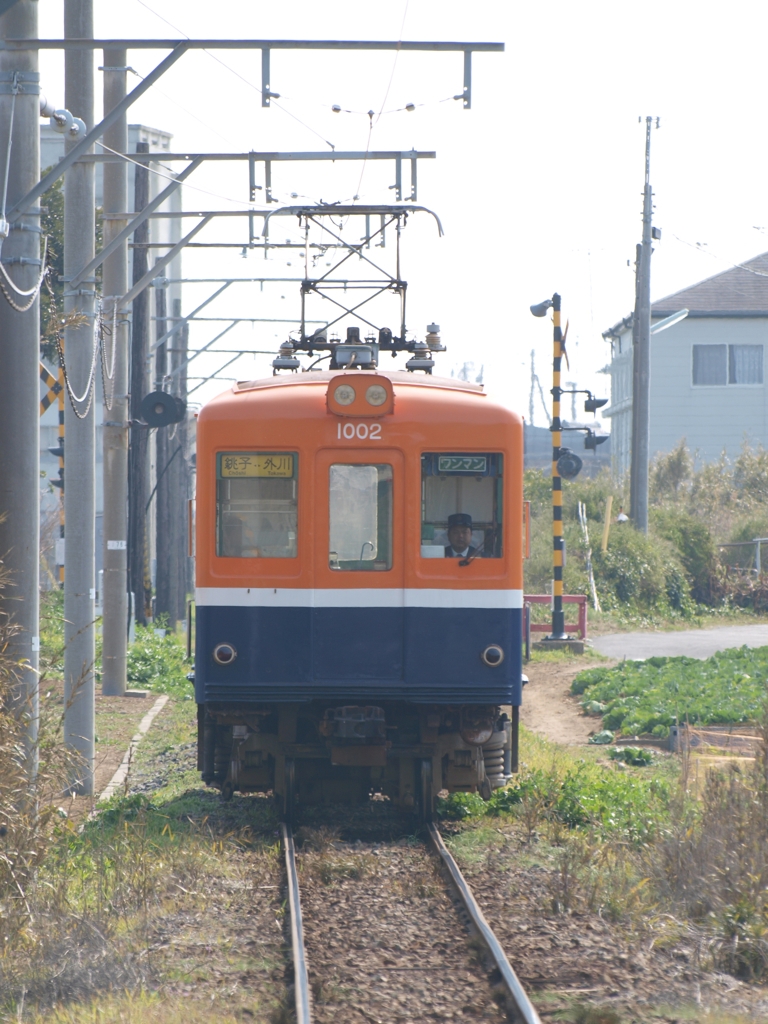 トコトコと