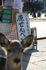 奈良