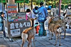 鹿HDR
