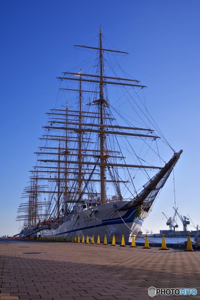 日本丸と海王丸