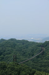 DPP_0050