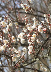 IMG_2255
