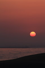 IMG_1336