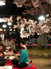 円山公園