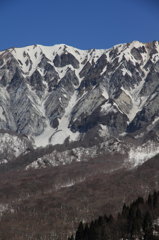 IMG_1214