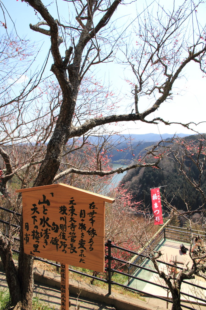 DPP_0001