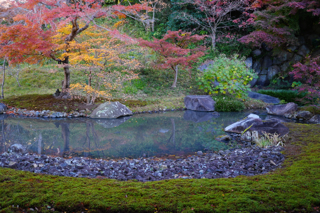 円覚寺　大方丈から見た妙香池と庭園
