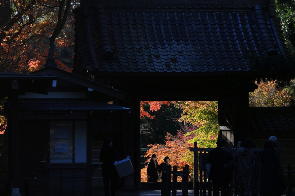円覚寺　総門