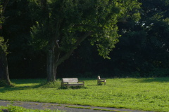 公園