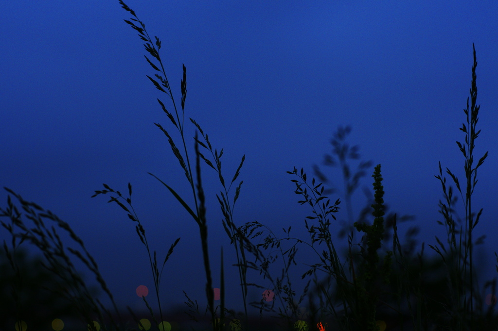 雨上がり