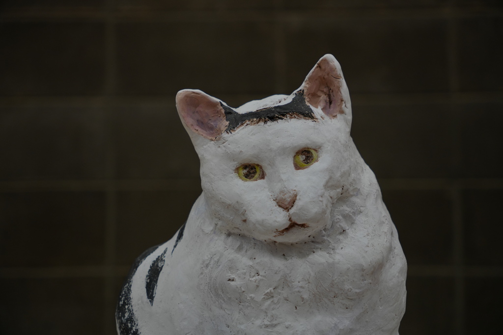 2024年藝祭　猫
