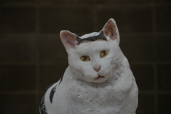 2024年藝祭　猫