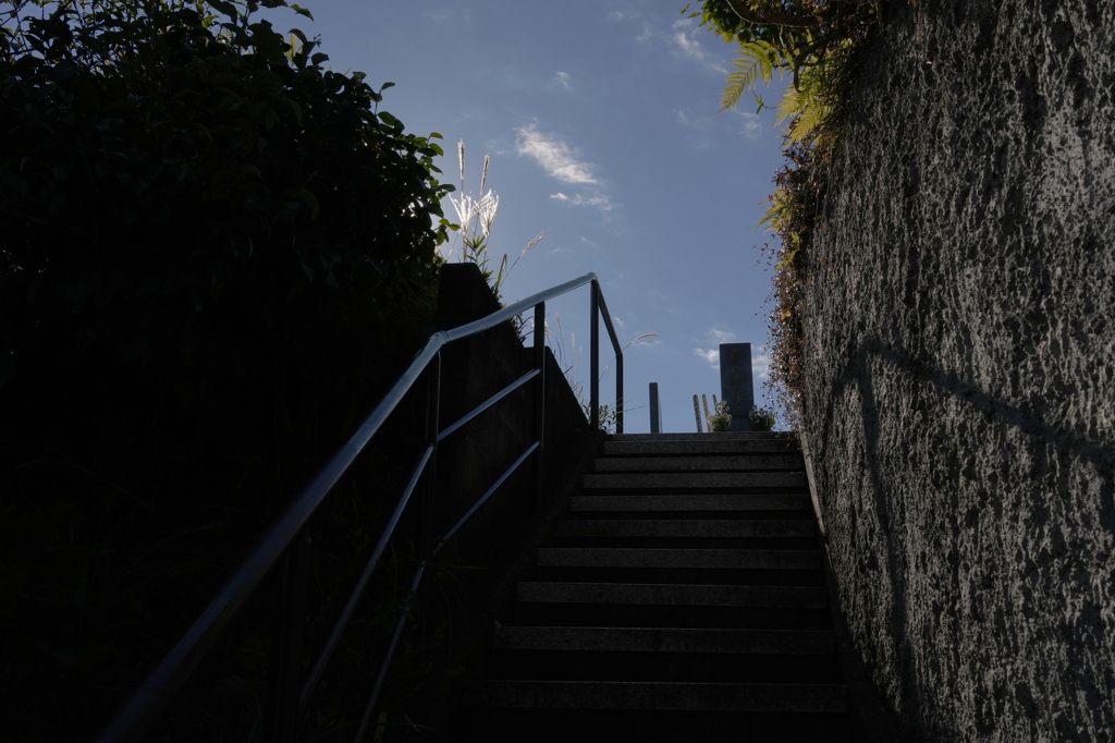 墓参　北鎌倉　円覚寺