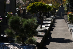 墓参　北鎌倉　円覚寺