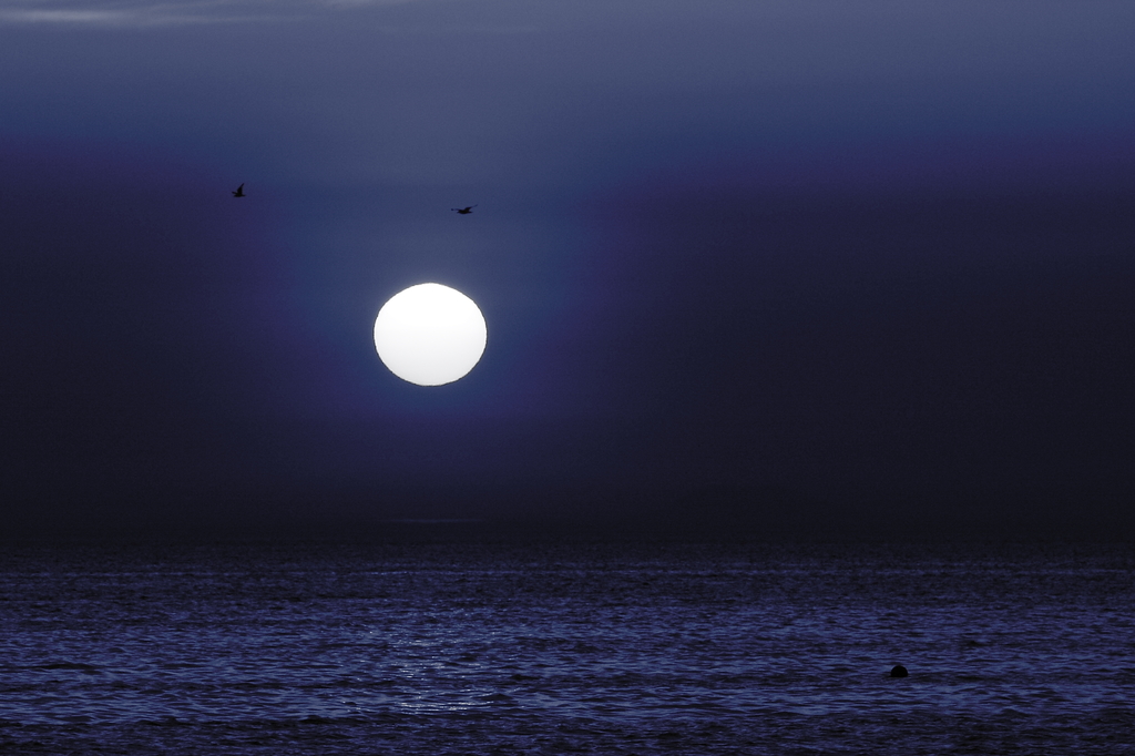 BLUE NIGHT