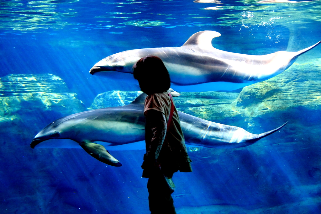 Endless Harmony