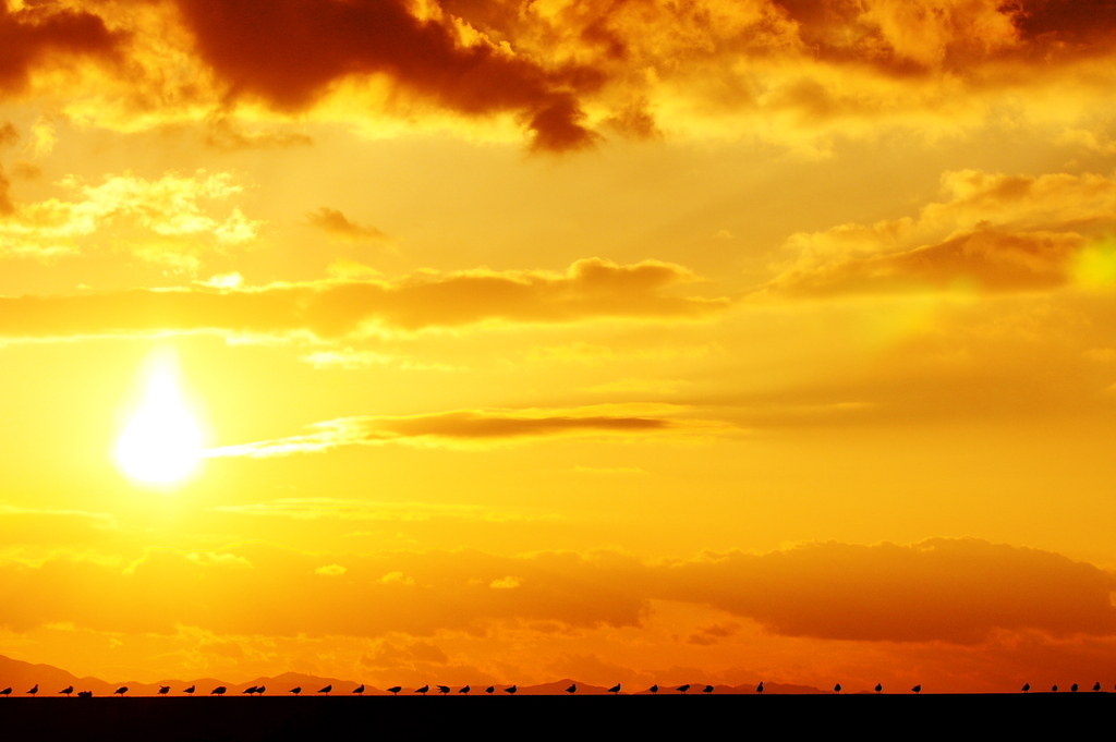 LAST SUNSET '08　Ⅰ