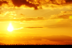 LAST SUNSET '08　Ⅰ