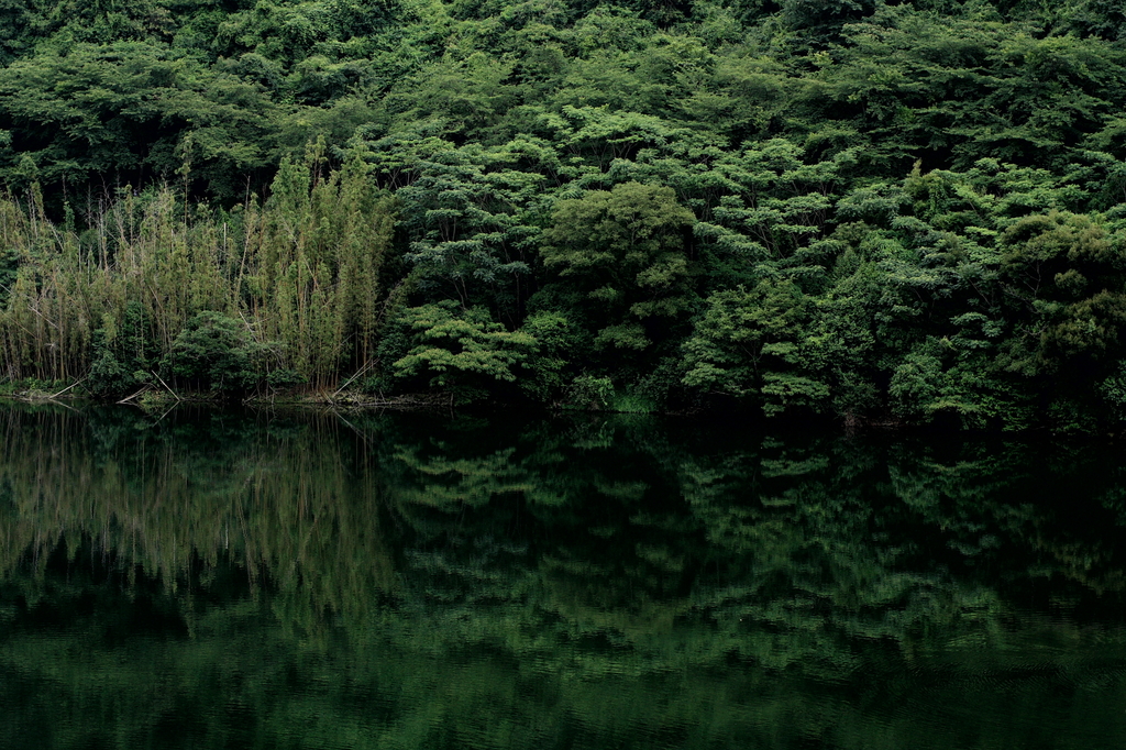 緑水