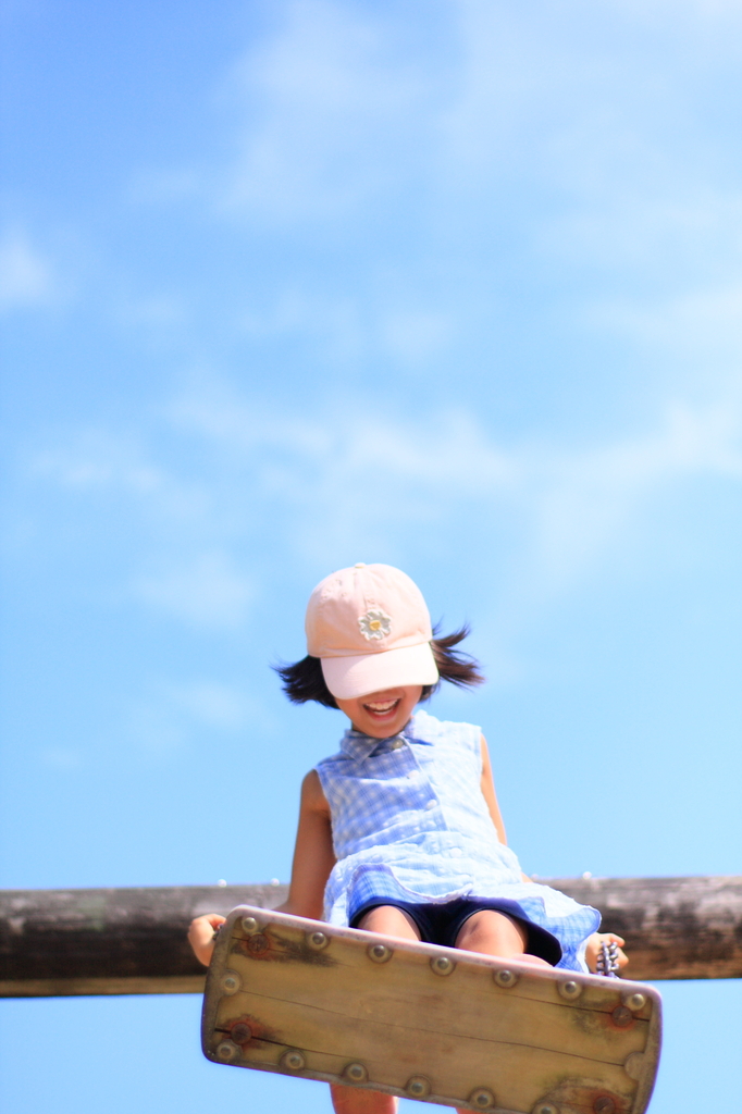 fly to the sky
