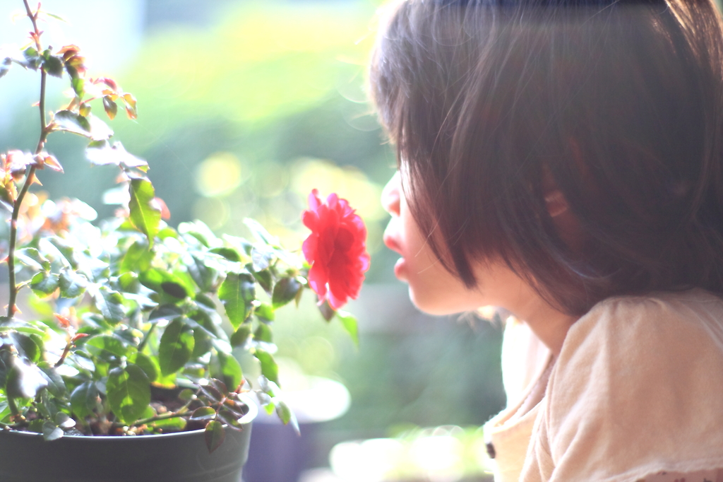 花の香りにさそわれて