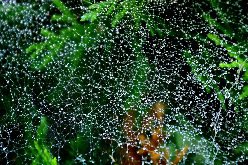 splash of green