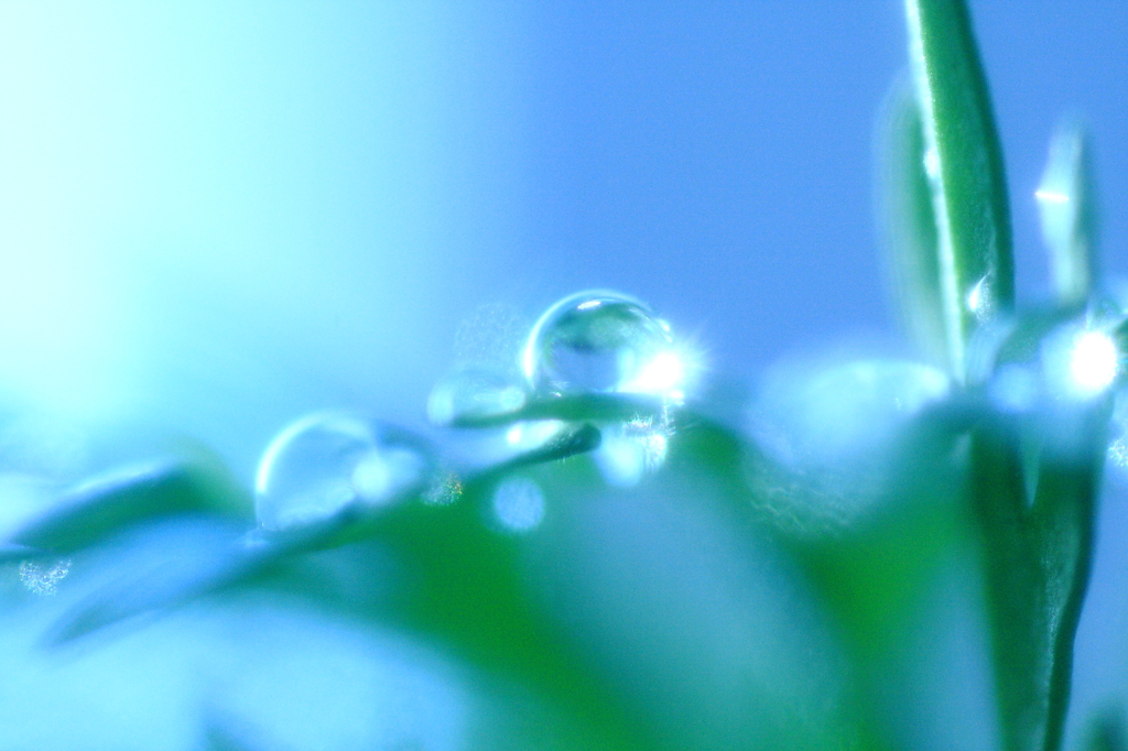 waterdrop