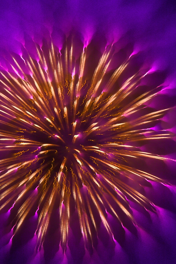 purple fireworks