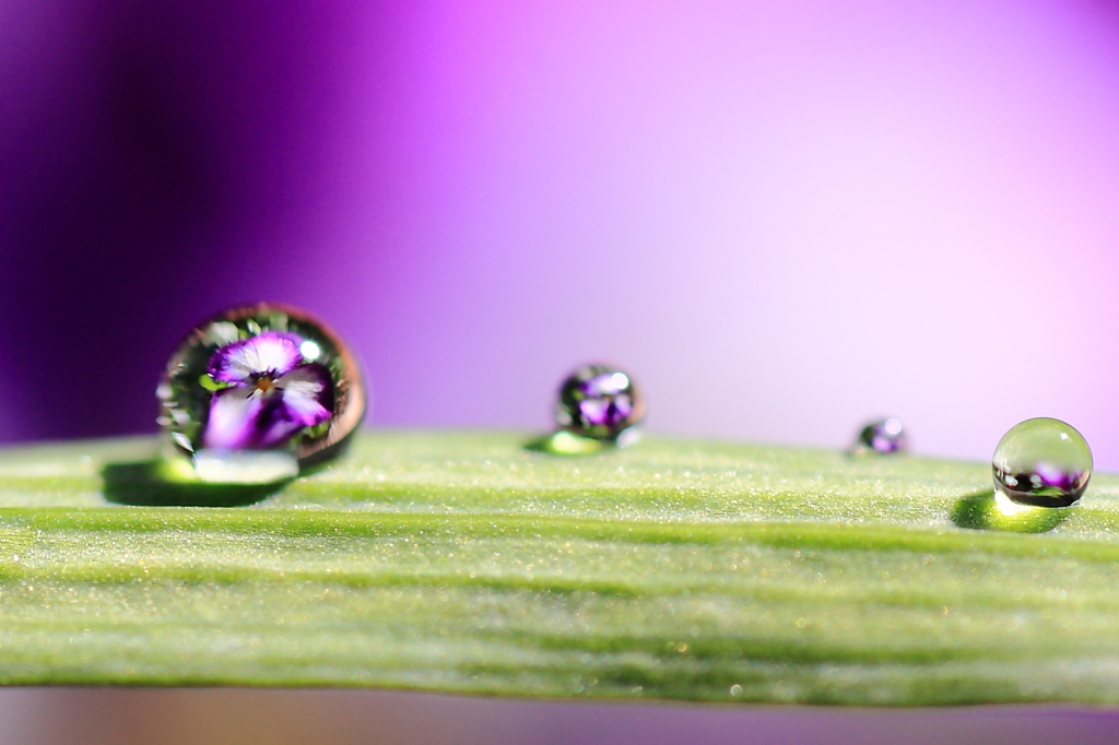 New水玉レンズ