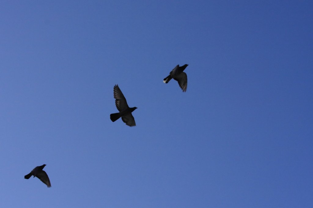 青空へ・・・・