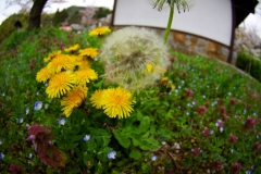 2008年4月13日0038