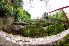 さくらのも終わりに．．．