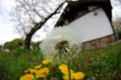 2008年4月13日0036