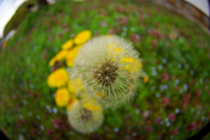 2008年4月13日0035