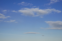 to the sky
