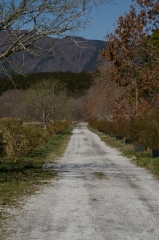 小路