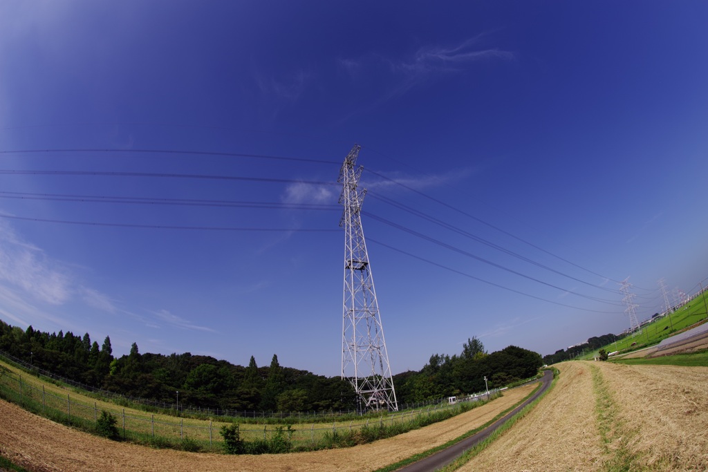 夏の鉄塔