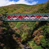箱根登山鉄道　出山の鉄橋　縦構図