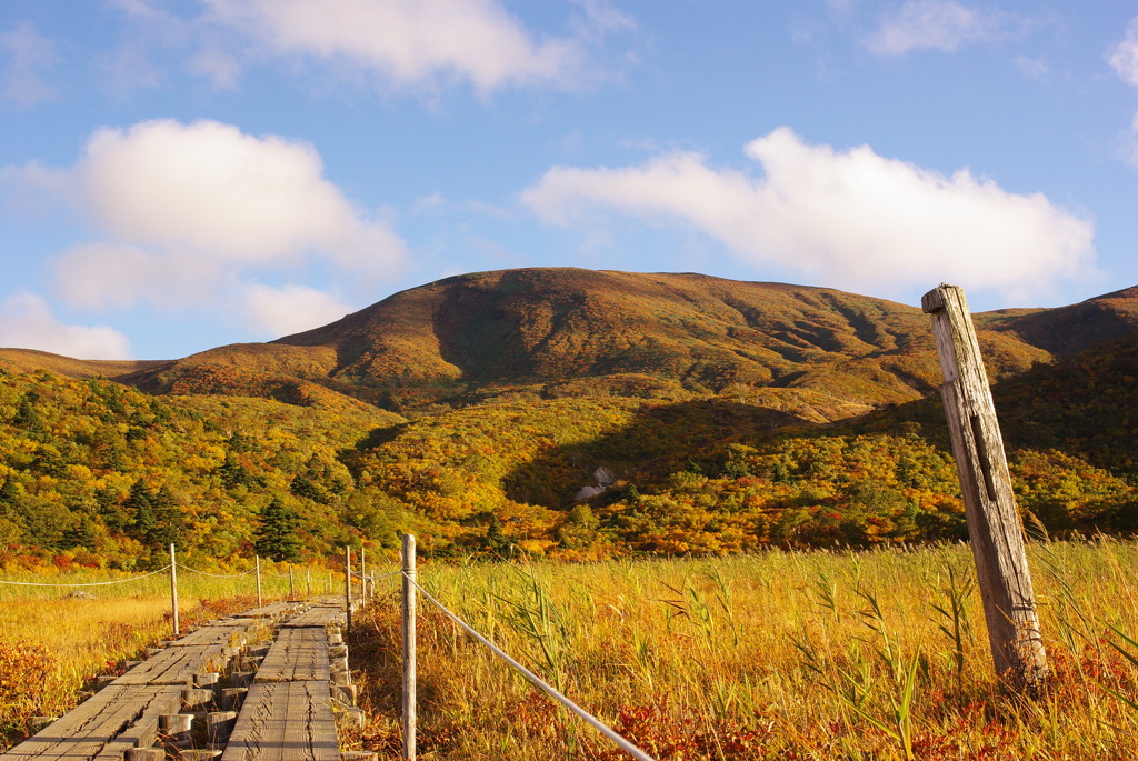 栗駒山　紅葉　2012　⑥