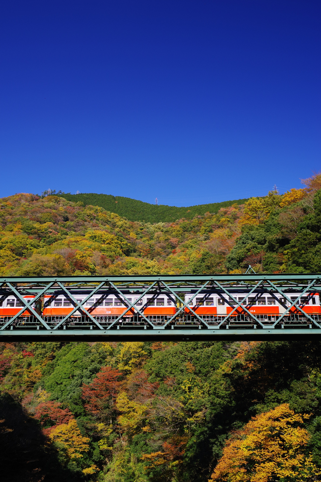 箱根登山鉄道と紅葉　④